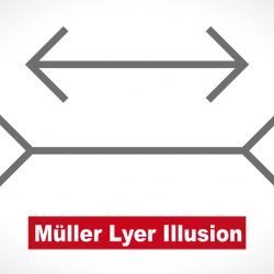 Muller-Lyer optical illusion illustration